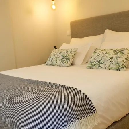 Apartment Adega Floresta Porto